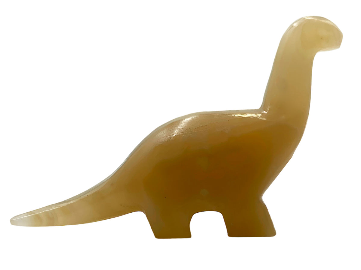 Amber Onyx Apatosaurus