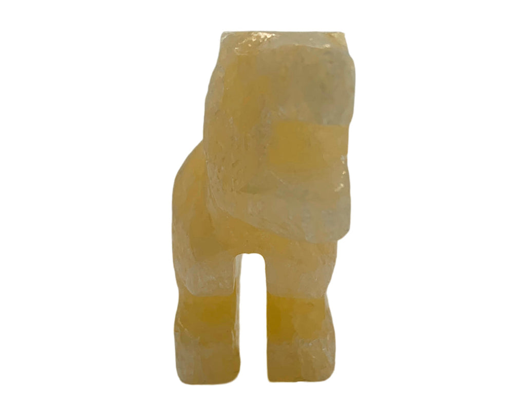 Honey Onyx Tyrannosaurus Rex