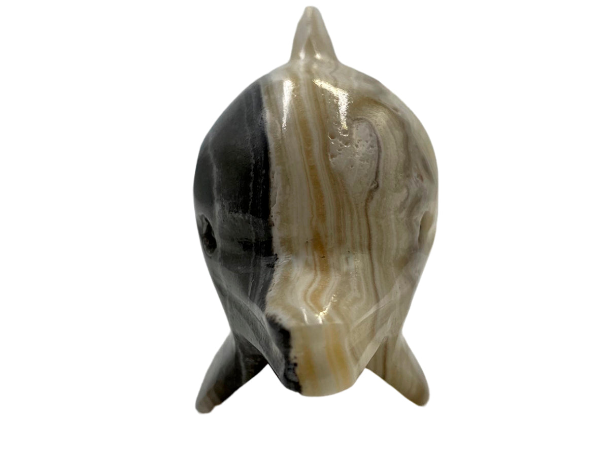 Zebra Onyx Dolphin