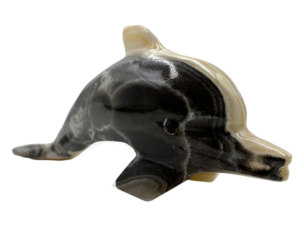 Zebra Onyx Dolphin