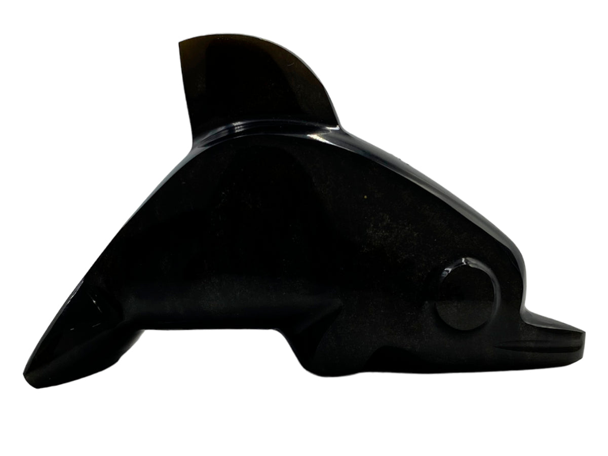 Black Onyx Dolphin