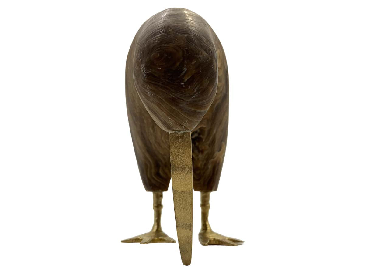 Brown Onyx Kiwi Bird