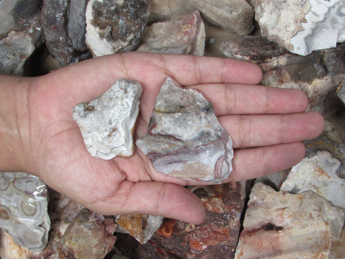 Crazy Lace Agate (Rough)